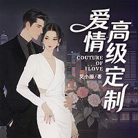 爱情高级定制有声小说
