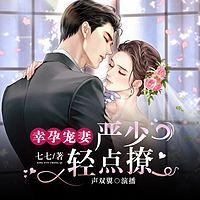 幸孕宠妻：严少轻点撩 有声小说