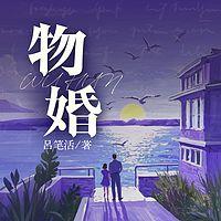 物婚有声小说
