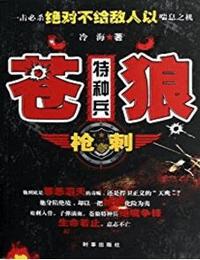 苍狼特种兵之枪刺有声小说