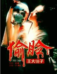 偷脸有声小说